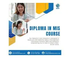 MIS Course Learn Management Information Systems