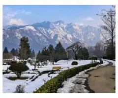 Kashmir Tour Package from Mumbai 6N/7D - 2