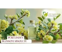 Pure Linden Blossom Absolute Premium Natural Floral Extract