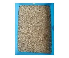 Lucknow SadarBakshi Ka Talab cashew nuts wholesaler in Uttar Pradesh - 3