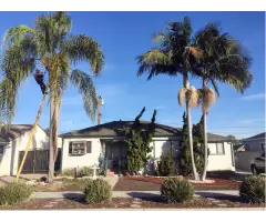 Affordable Tree Emergency in Beverly Hills - Gabrieltreeservices - 3