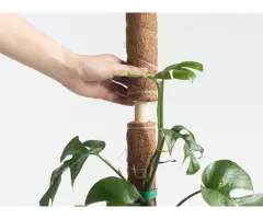 Coco Coir Pole - Vantidebamboo