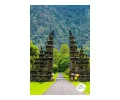 Bali Tour Packages from Kolkata to Explore the Island s Beauty - 4