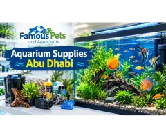 Quality Aquarium Supplies in Abu Dhabi for Healthy & Beautiful Aquariums