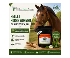 Pellet horse wormer in Blairstown, NJ for Convenient Equine Parasite Care Today