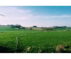 How Can You Find Residential Plots in Goa for Your Home
