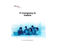 Professional IT Company in Indore for Your Business