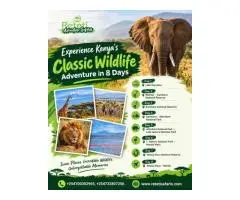 Discover Amazing Wildlife and Scenic Safari Experiences