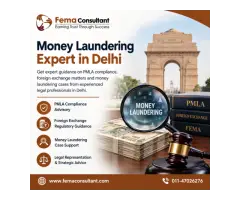 Money Laundering Expert in Delhi