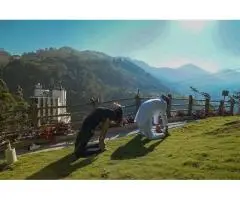 Best honeymoon luxury resort in Munnar, Keralam, India 10/10 Recommend