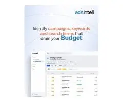 Adsintelli Google Ads Management Driven by AI Advertising Intelligence