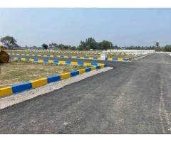 Veppampattu Dtcp Approved Land Sale Direct owner