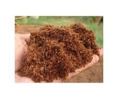 Cocopeat Manufactures in India
