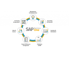 SAP Business One Gold Partner Noida |Delhi |Gurgaon| Ghaziabad India - 2