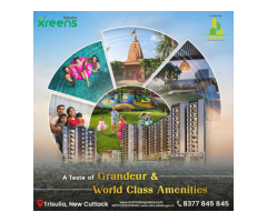 2 BHK Luxury Apartments in Trisulia - 3