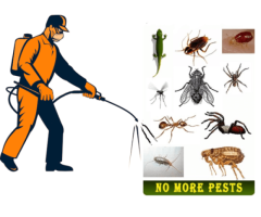 TOP KANCHIPURAM TERMITE CONTROL SERVICE 8778652264-KIRUPA