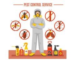 TOP KANCHIPURAM TERMITE CONTROL SERVICE 8778652264-KIRUPA - 2