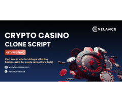 Wondering How to Build Your Own Crypto Casino Empire Swiftly?