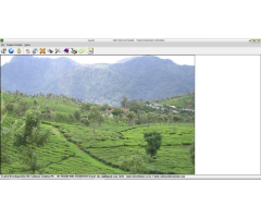 Tea Garden Software, Tea Garden Management system by EBS Software