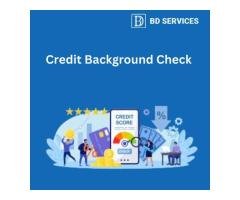 What Are the Limitations of a Credit Background Check?