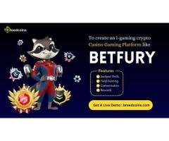 Launch Your Own Casino Gaming Platform with Betfury Clone Script!