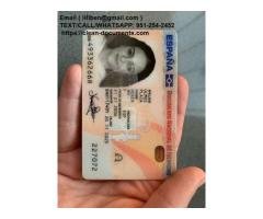 Passports Birth Certificates,Driver's License Credit cards - 3