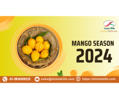 Welcome Mango Season 2024 with Shimla Hills Offerings Pvt. Ltd.