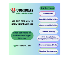 Best SEO company in Chennai UDMIDEAS - 2