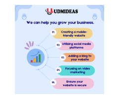 Best SEO company in Chennai UDMIDEAS - 3