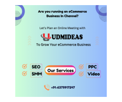 Best SEO company in Chennai UDMIDEAS - 4