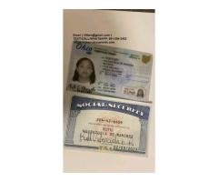 Documents ssn  IDS, Passports, D license,