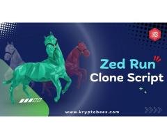 Zed Run clone script _ Kryptobees