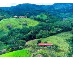 Beautiful farms and land for sale in Costa Rica