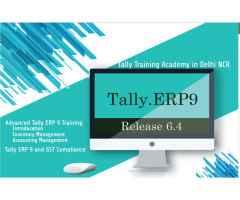 Advanced Tally Course in Delhi, 110033 with Free Busy and  Tally Certification