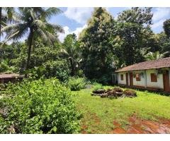 PLot in Serene and Tranquil Environment