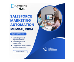 Salesforce Marketing Automation India