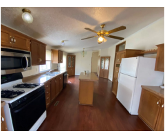 Ideal Villa - 5