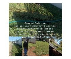 Instant Lawn Delivery and Services - 2