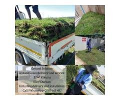Instant Lawn Delivery and Services - 3