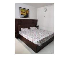 Sobha Jasmine 3 BHK Apartment for Rent - 2