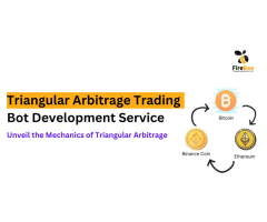 Fire Bee Techno Services: Pioneering Innovation in Triangular Arbitrage Bots