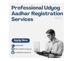 Professional Udyog Aadhar Registration Services