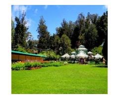 Top 12 Ooty Honeymoon Packages - 2024 (220+ Reviews