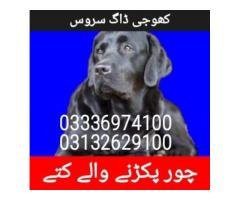 Army dog center rawalpindi 03132629100