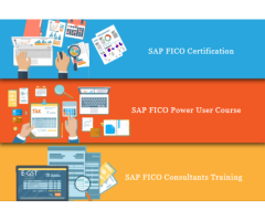 Best SAP FICO Certification in Delhi, Pitampura, Free Accounting, Free Demo, 100% Job
