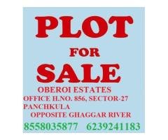 6 MARLA PLOT FOR SALE IN SECTOR 28 PANCHKULA - 2