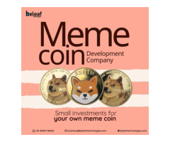 How might users profit from having the meme coin