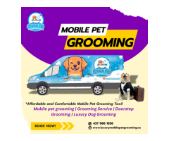 Luxury Mobile Pet Grooming In Richmond Hill