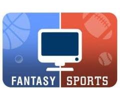 BR Softech's Comprehensive Fantasy Sports Website Development