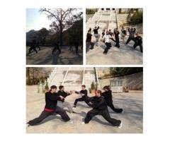 Learn Chinese Martial Arts at Weihai Kung Fu Academy: Achieve Strength and Discipline